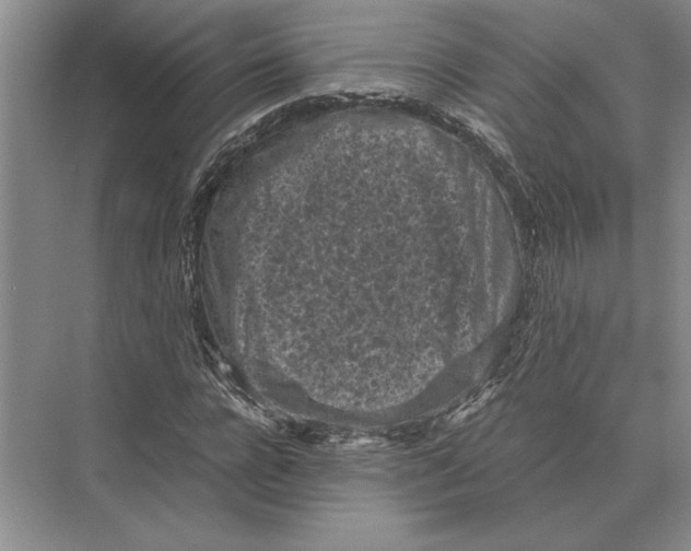 X0000072530920200608111742