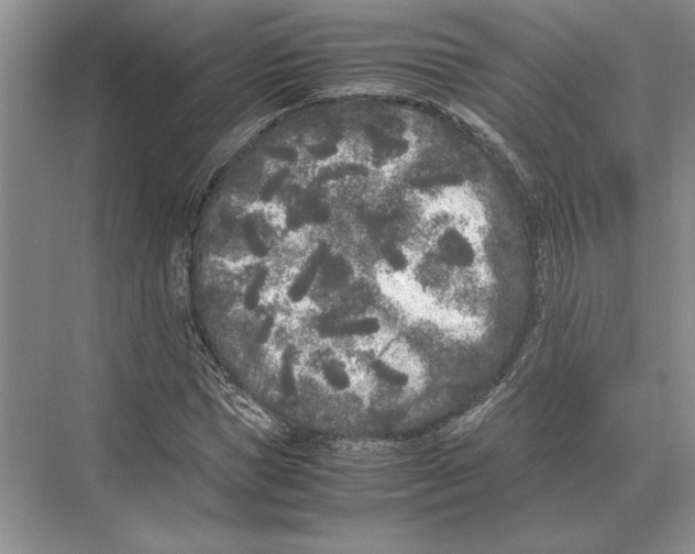 X0000072530921200608111742