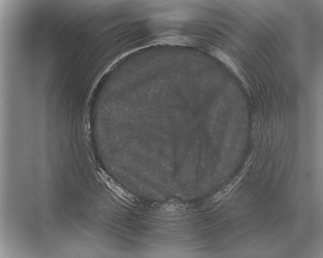 X0000072530923200608111742