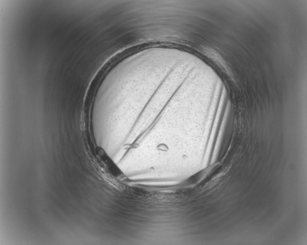 X0000072530924200608111742