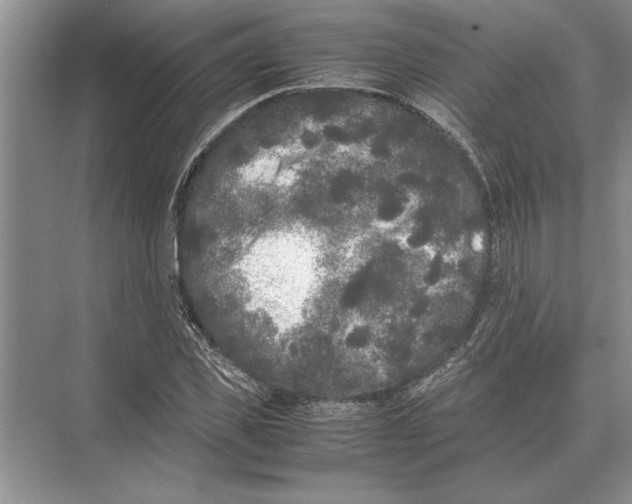 X0000072530925200608111742