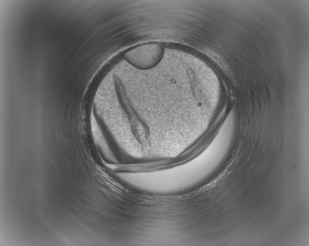 X0000072530926200608111742