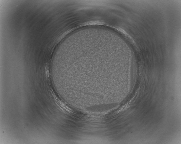 X0000072530929200608111742