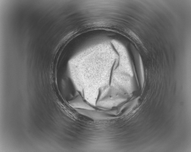 X0000072530930200608111742