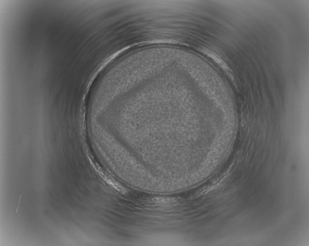 X0000072530933200608111742