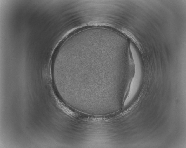 X0000072530934200608111742