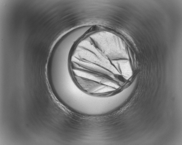 X0000072530936200608111742