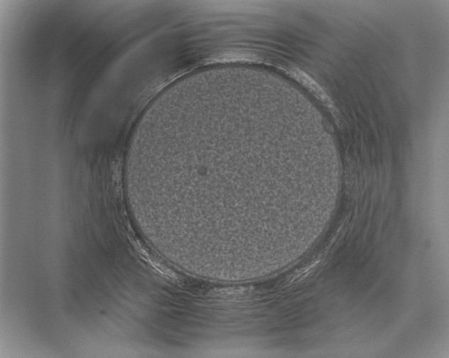 X0000072530937200608111742