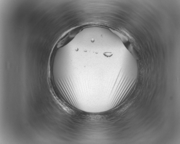 X0000072530940200608111742