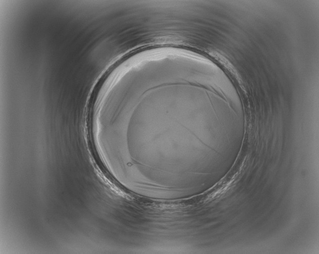 X0000072530941200608111742