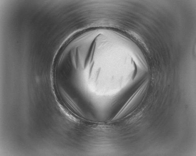 X0000072530942200608111742