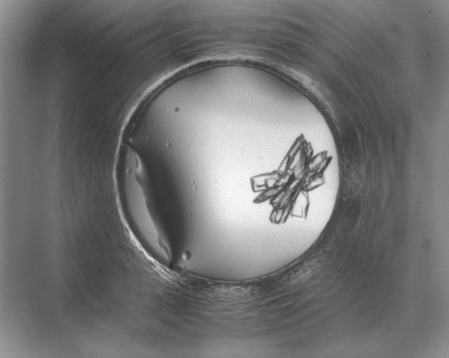 X0000072530943200608111742