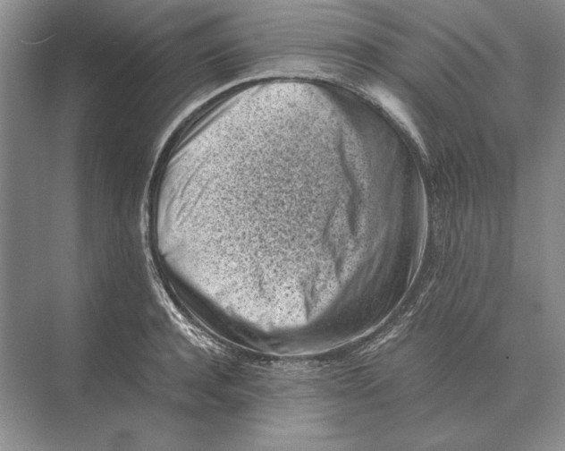 X0000072530944200608111742