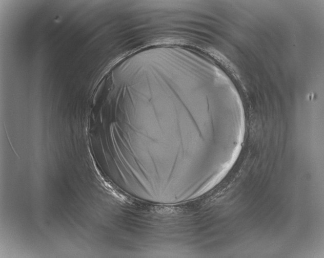 X0000072530945200608111743