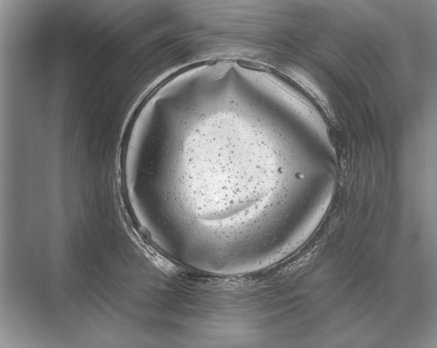 X0000072530948200608111743