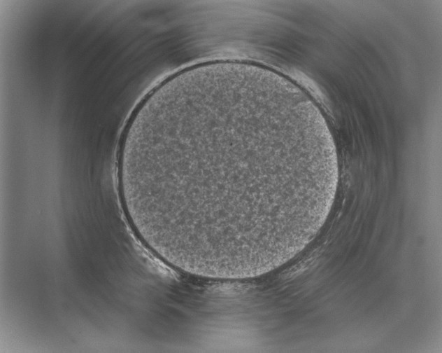 X0000072530950200608111743