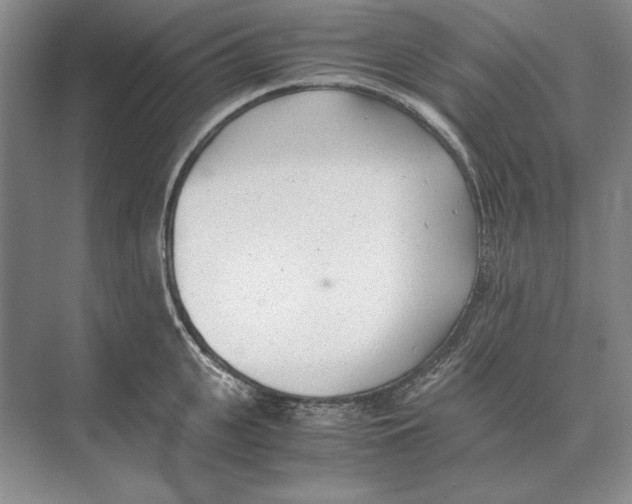 X0000072530951200608111743