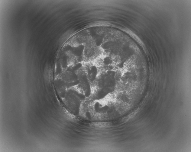 X0000072530953200608111743