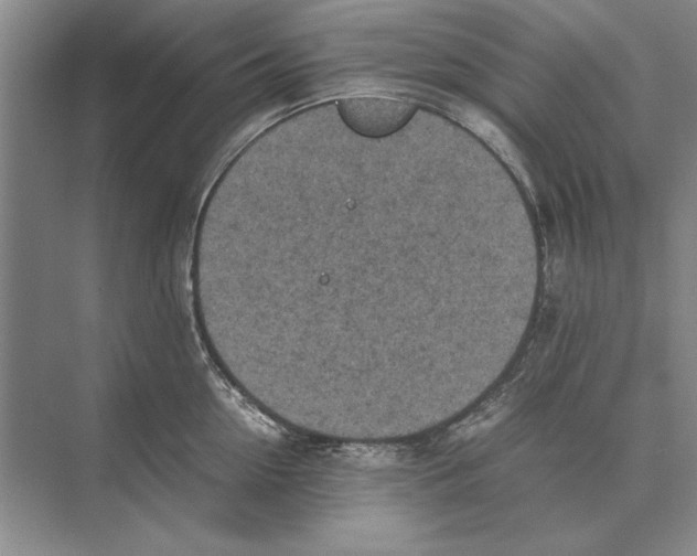 X0000072530954200608111743