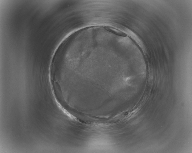 X0000072530958200608111743