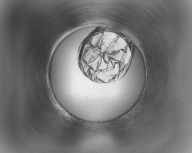 X0000072530960200608111743