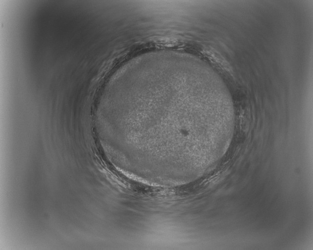 X0000072530961200608111742