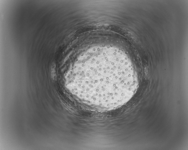 X0000072530963200608111742