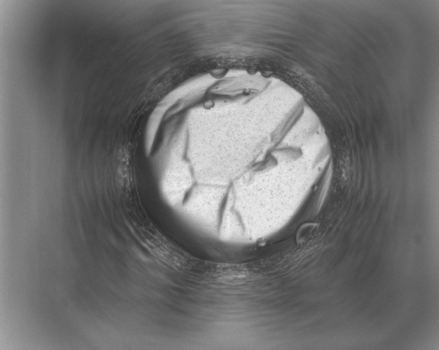 X0000072530964200608111742