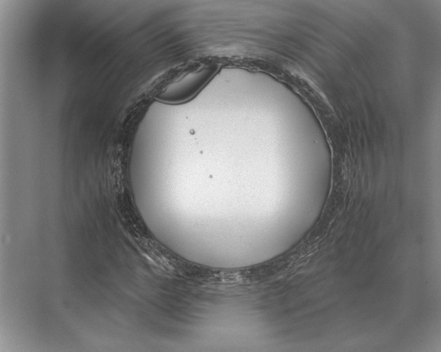 X0000072530968200608111742