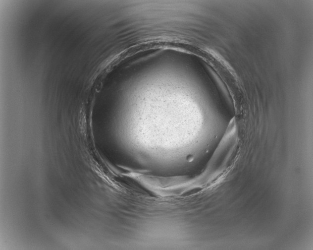 X0000072530969200608111742