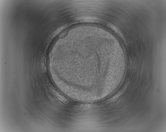 X0000072530970200608111742