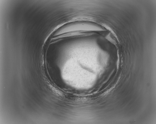 X0000072530973200608111742