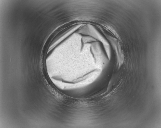 X0000072530976200608111742