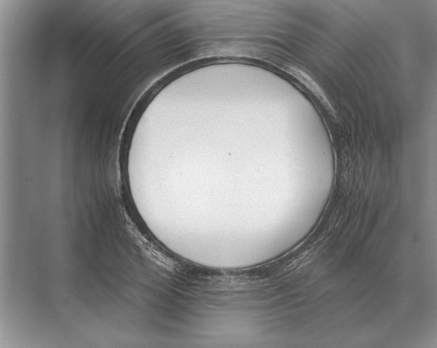 X0000072530980200608111742