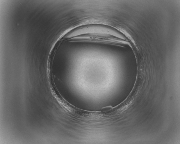 X0000072530981200608111742