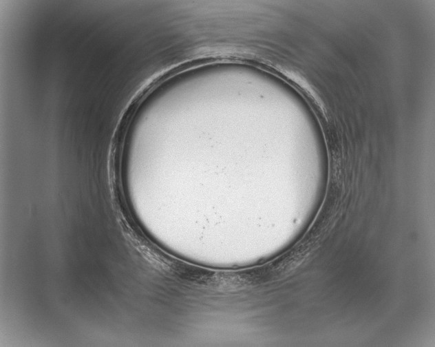 X0000072530983200608111742