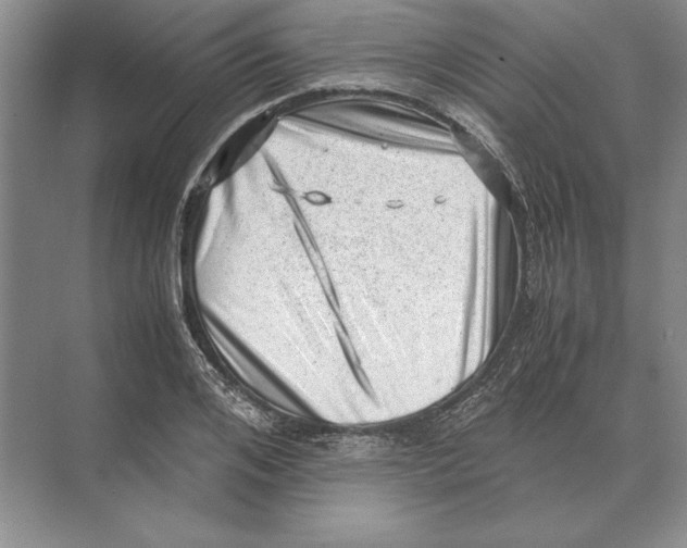 X0000072530984200608111742