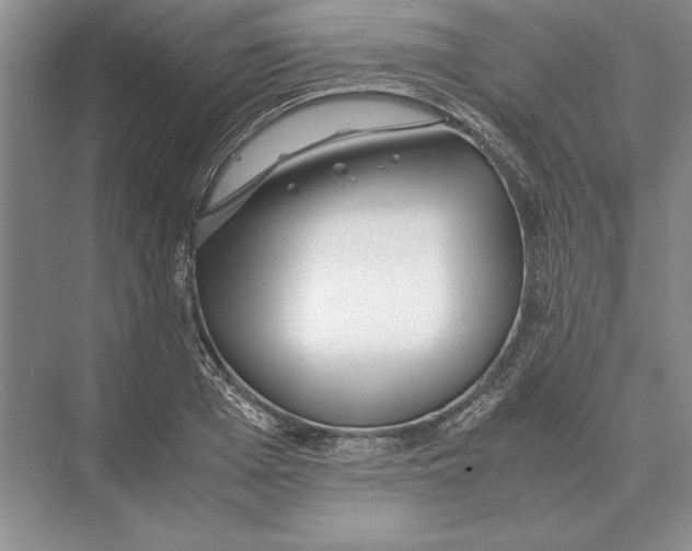 X0000072530985200608111742