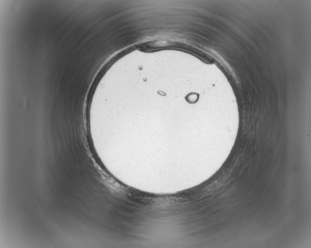 X0000072530988200608111741