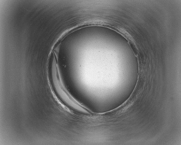 X0000072530989200608111741