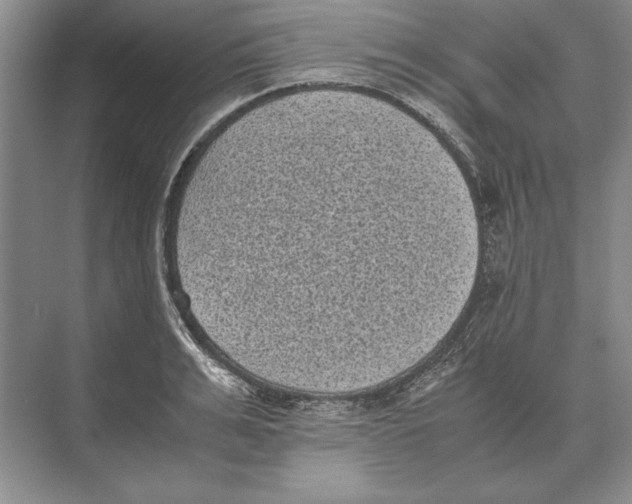 X0000072530991200608111741