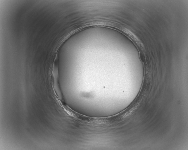 X0000072530993200608111741