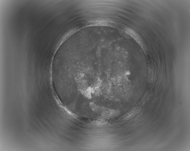 X0000072530994200608111741