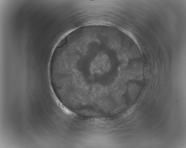 X0000072530995200608111741