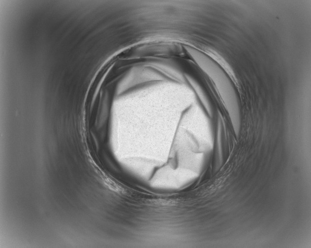 X0000072530996200608111741