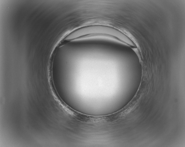 X0000072530997200608111741