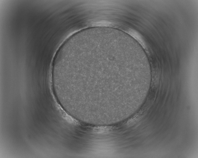 X0000072531000200608111741