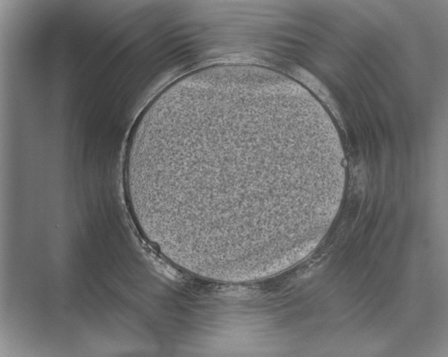 X0000072531002200608111741