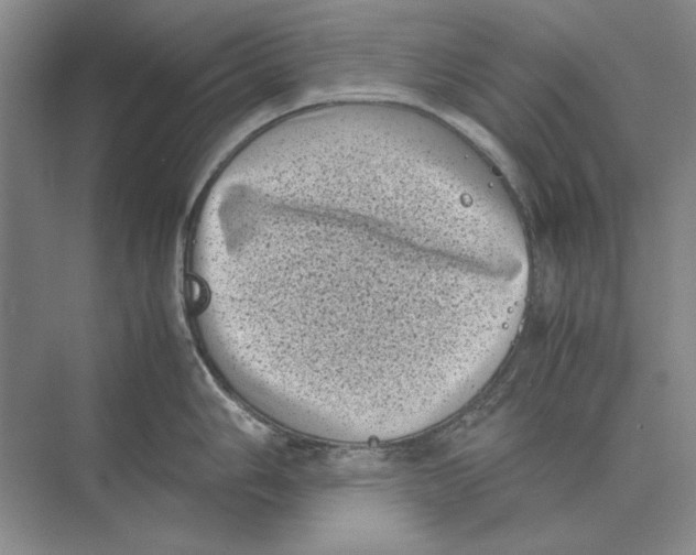 X0000072531006200608111741