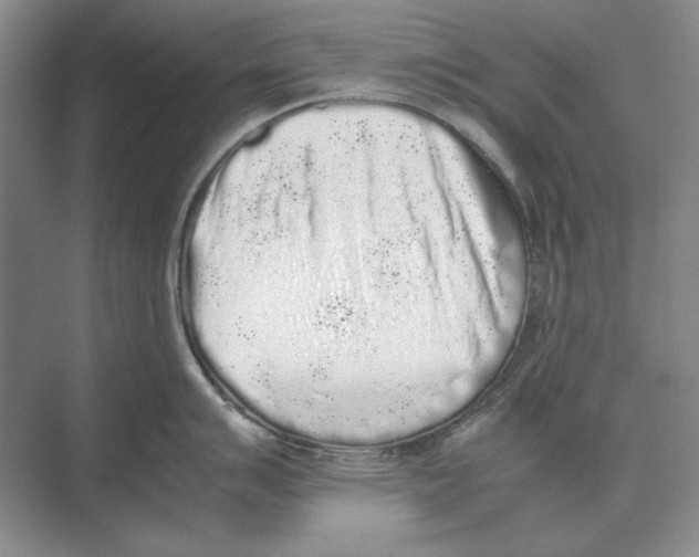 X0000072531007200608111741